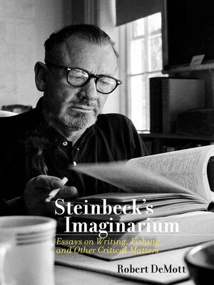 cover image of Steinbeck's Imaginarium